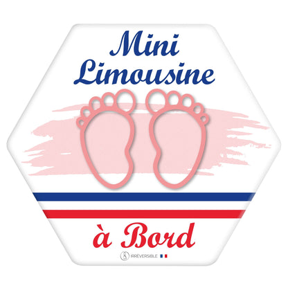 Adhésif bébé à bord - Mini Limousin